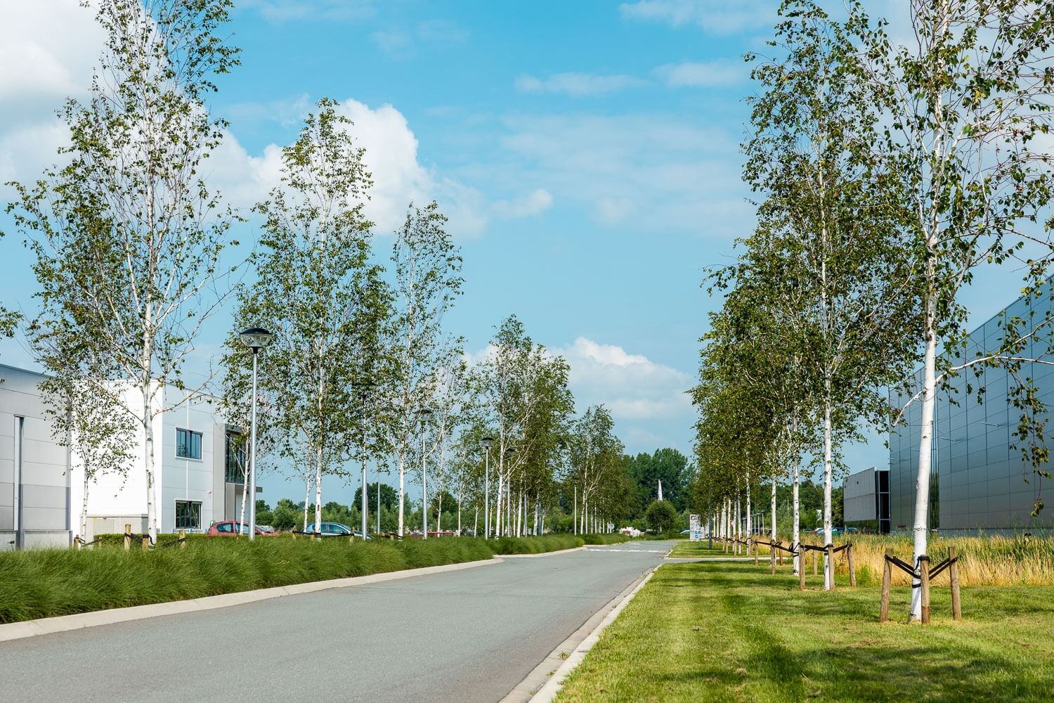 Tuin laten ontwerpen met overkapping - outlook_groenprojecten_-_condor-12